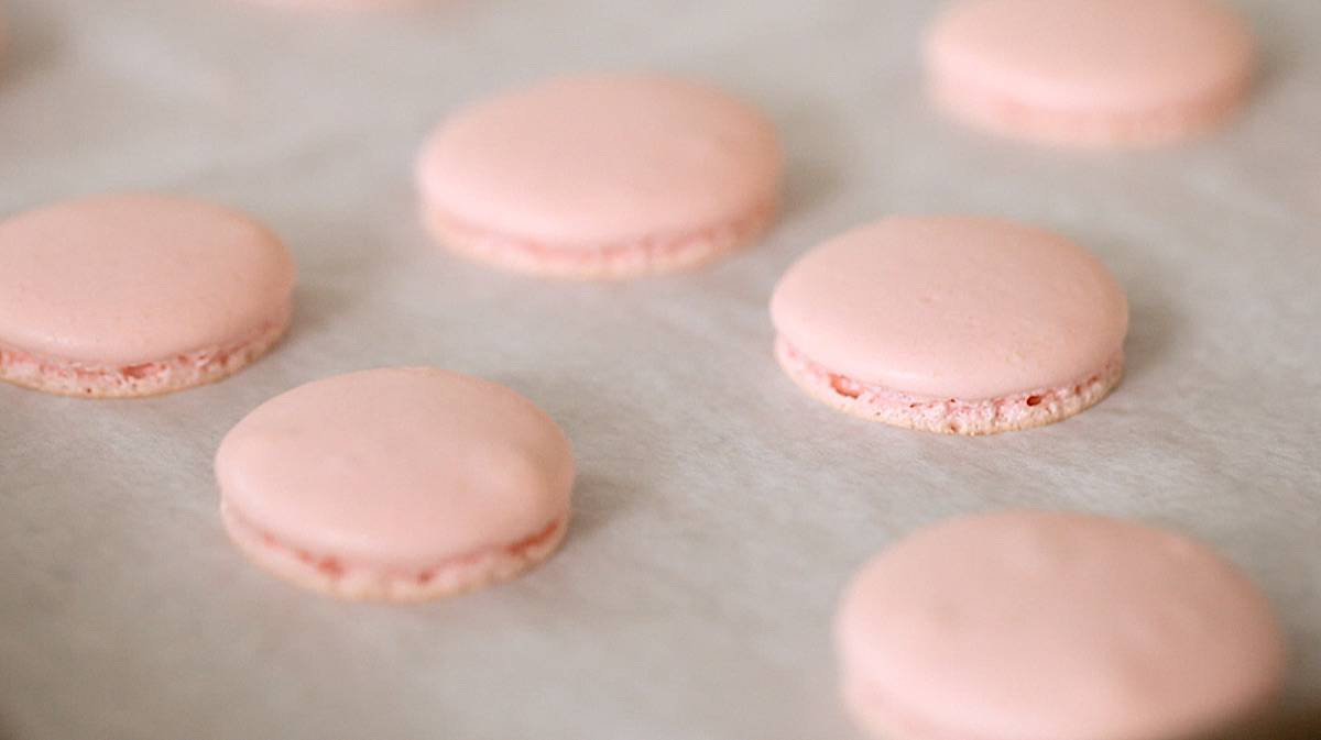 French macaron shells on a baking sheet with smooth tops