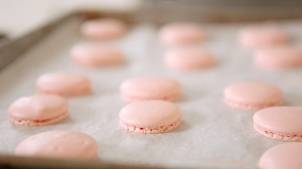 French macaron cookies with smooth tops on a baking sheet with parchment paper