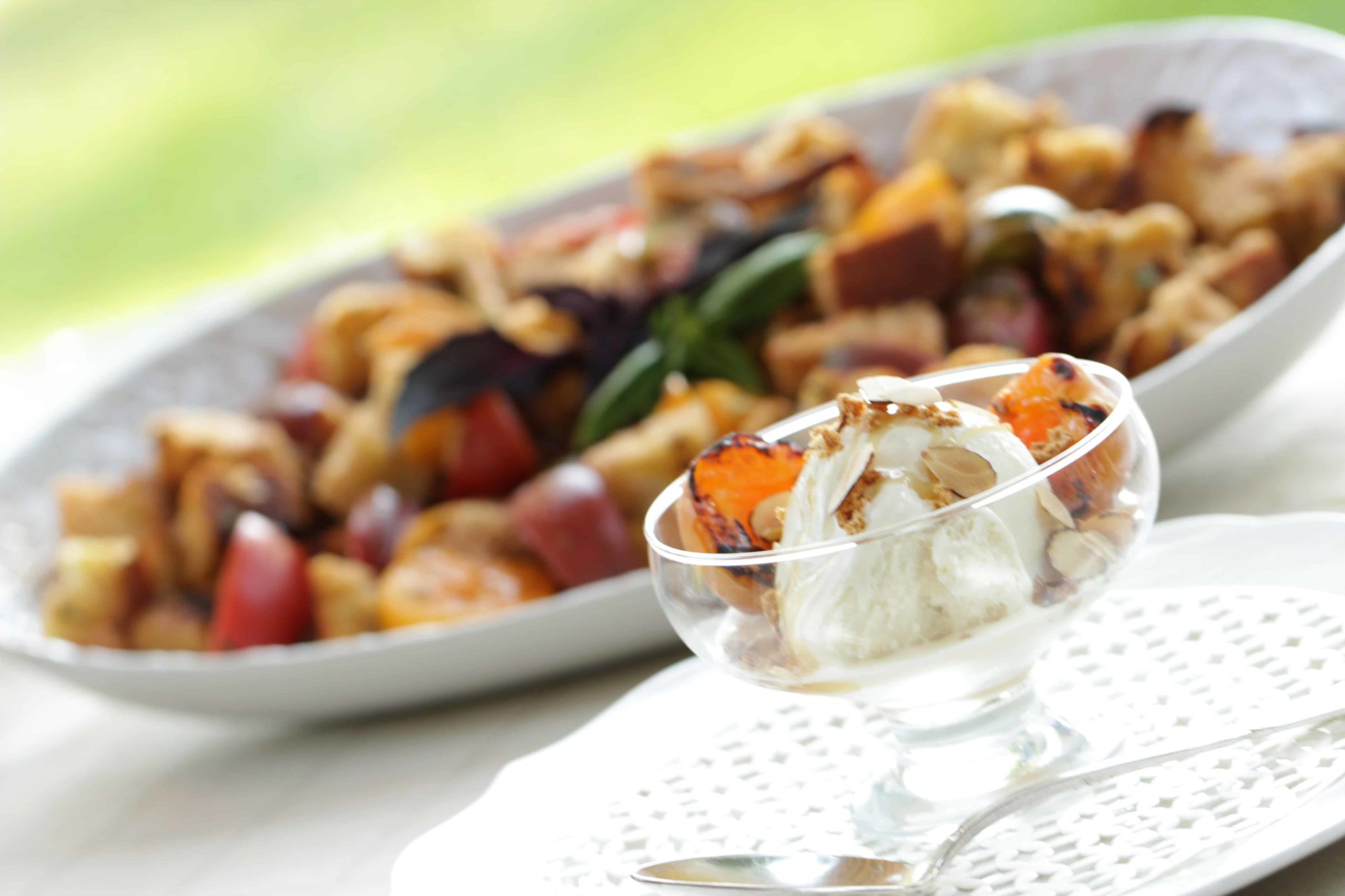 Grilled Panzanella Salad and Grilled Apricot Sundaes