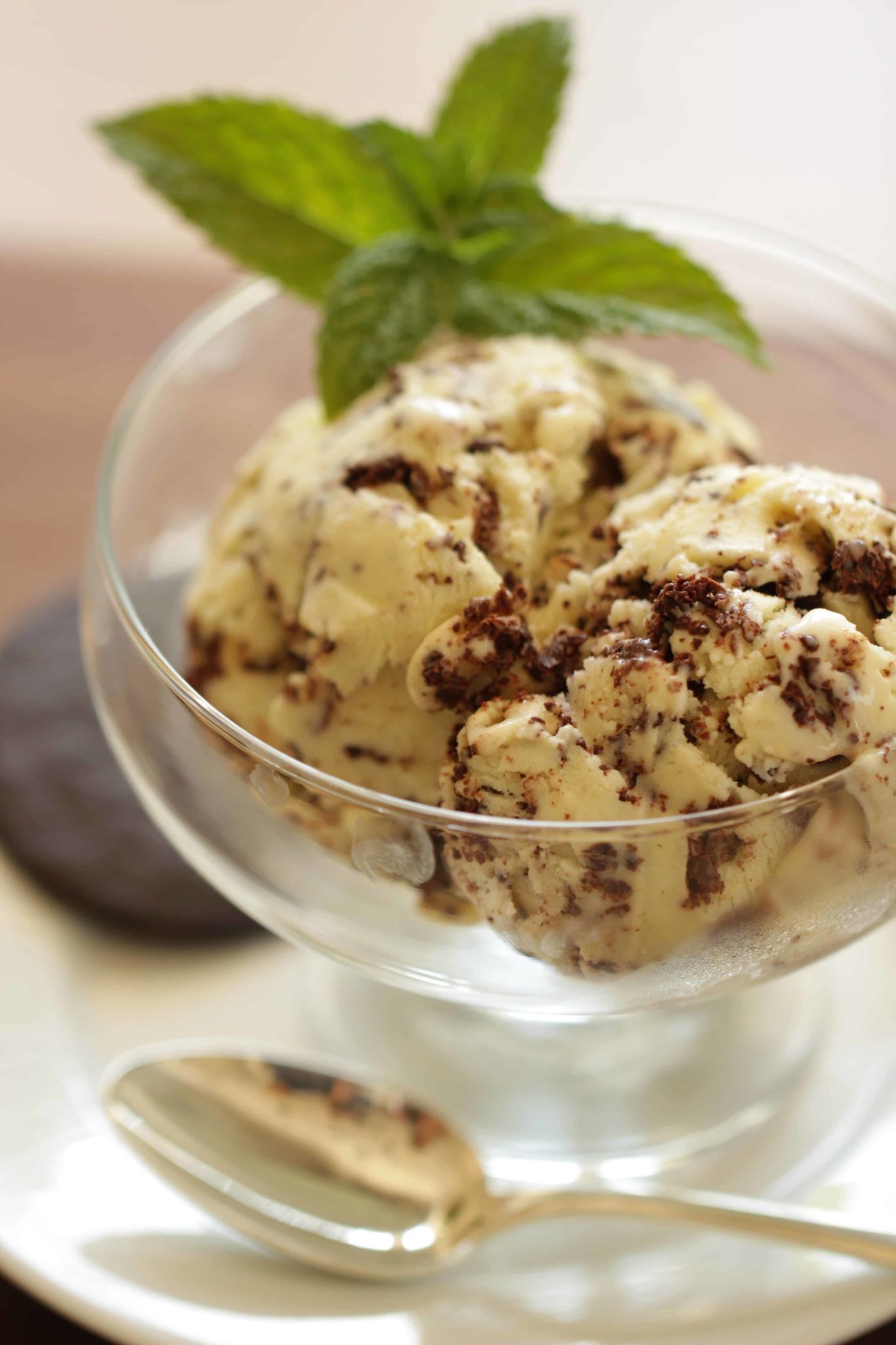 mint chocolate chip ice cream served in a large clear bowl with fresh mint leaves and chocolate wafers on the side 