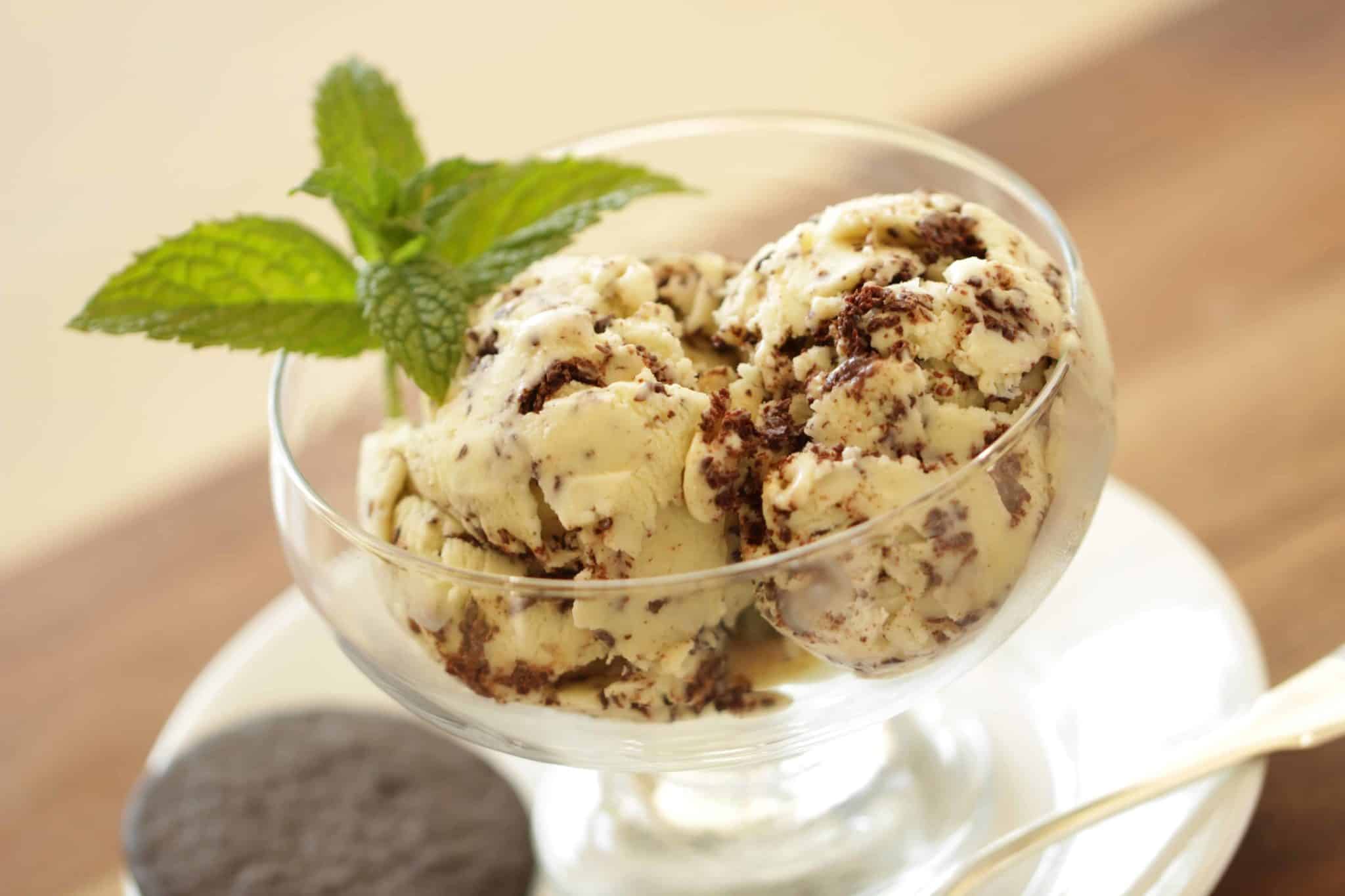 Homemade Mint Chocolate Chip Ice Cream