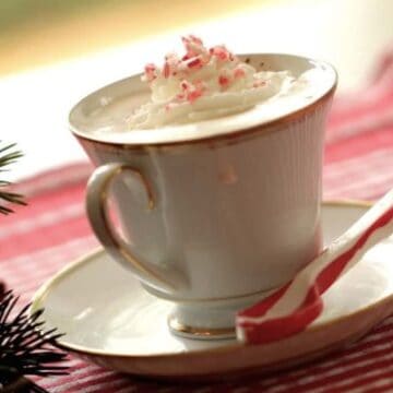 Peppermint Hot Chocolate recipe served in a white tea cup and saucer with a candy cane spoon on the side served on a red tablecloth