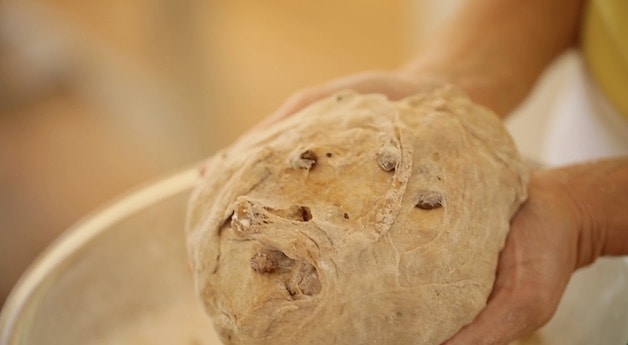 a ball of cinnamon raisin bread dough in floured hands