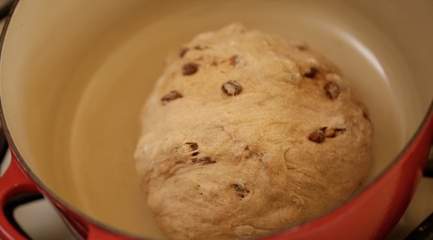 Placing bread dough ball in Dutch Oven to Bake