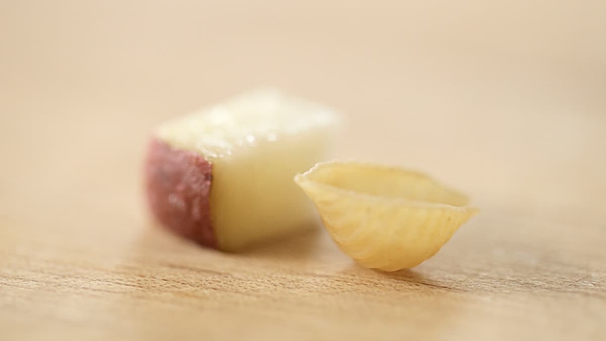 a potato cube and pasta shell side by side to show size