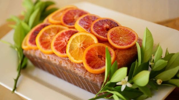 Blood Orange Pound Cake with candied orange garnish and fresh orange blossoms