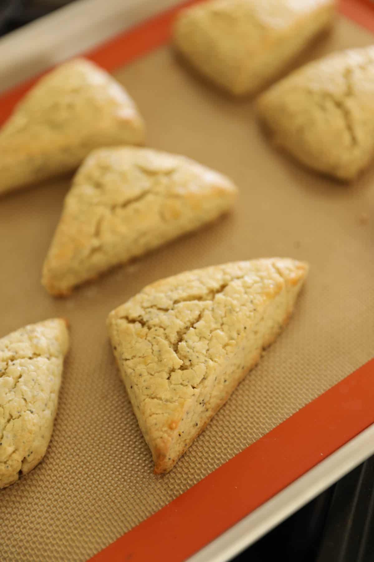 freshly baked lemon poppy seed scones on a baking mat