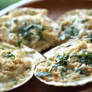 Coquilles St Jacques Scallop Gratin served in scallop shells on a wood surface