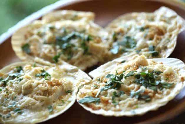 Coquilles St Jacques Scallop Gratin served in scallop shells on a wood surface