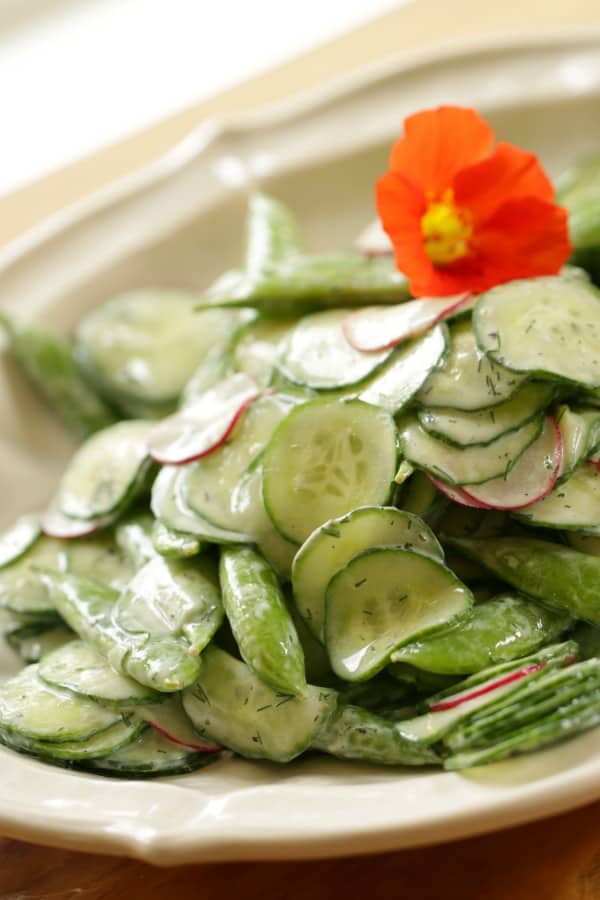 Creamy Cucumber Salad with Dill on Plate