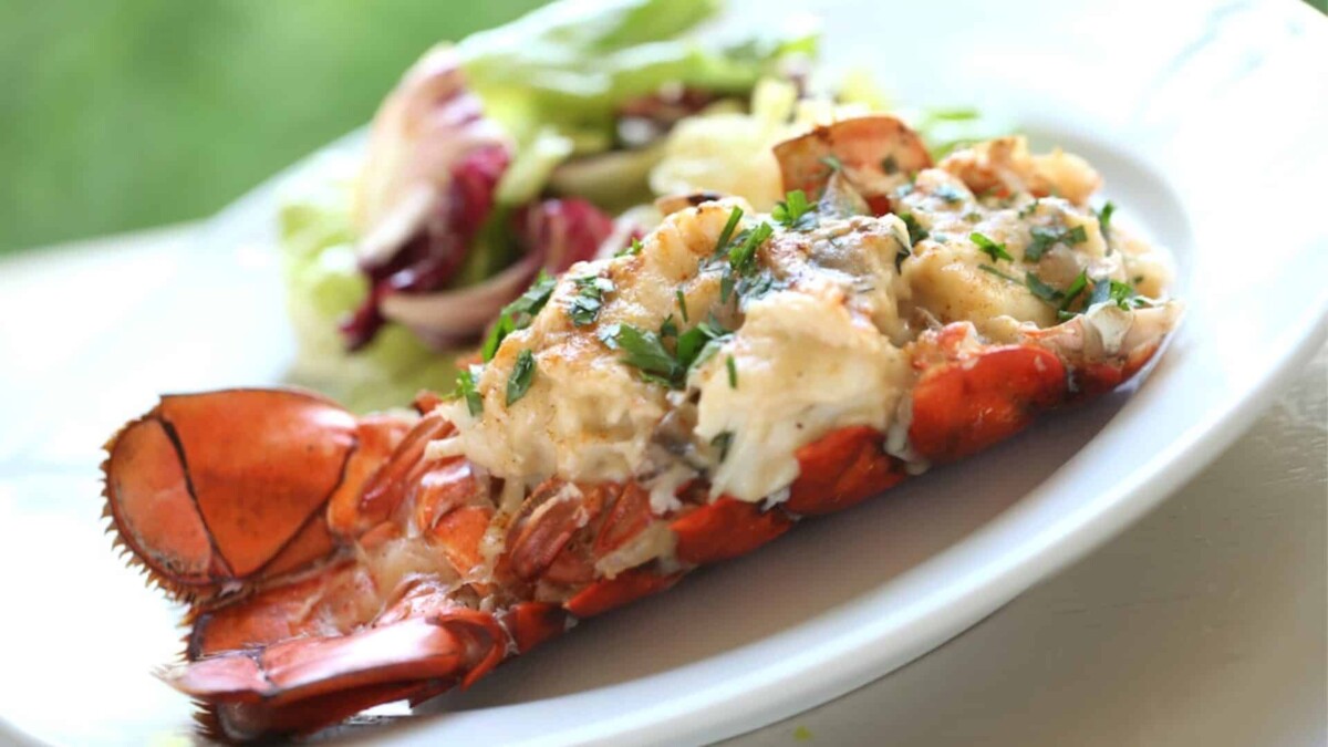 Lobster THermidor with Salad on a plate