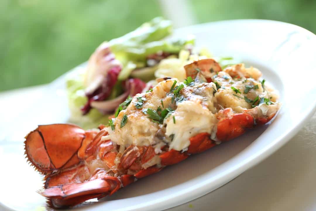 a Lobster Thermidor on a white plate with a side salad