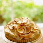 Vertical Image of a Lemon Meringue Tart on a cake stand in front of a window