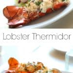 Lobster Thermidor on white plate