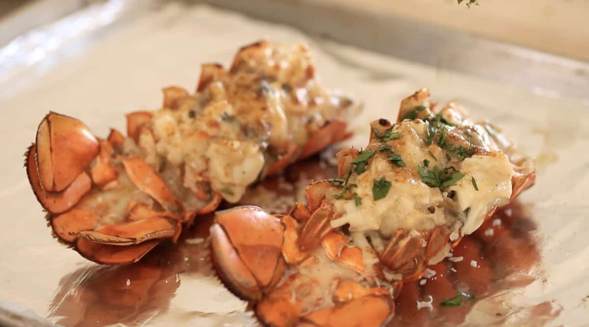 Freshly Baked Lobster Thermidor on a sheet pan garnished with fresh parsley