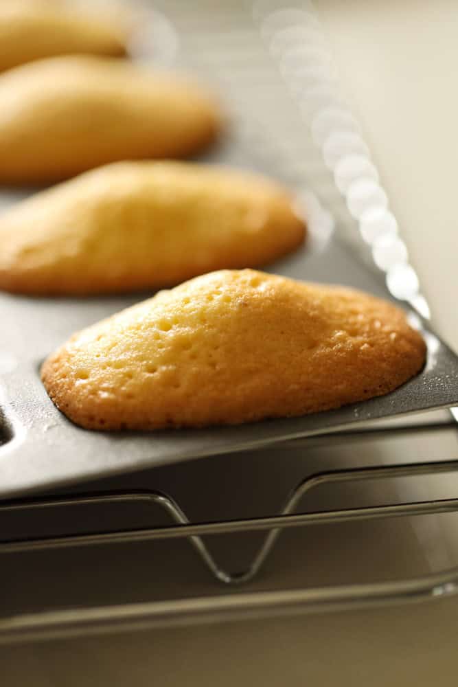 A baked madeleine with hump