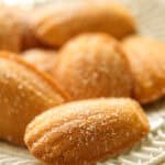 Madeleines dusted with powdered sugar on top