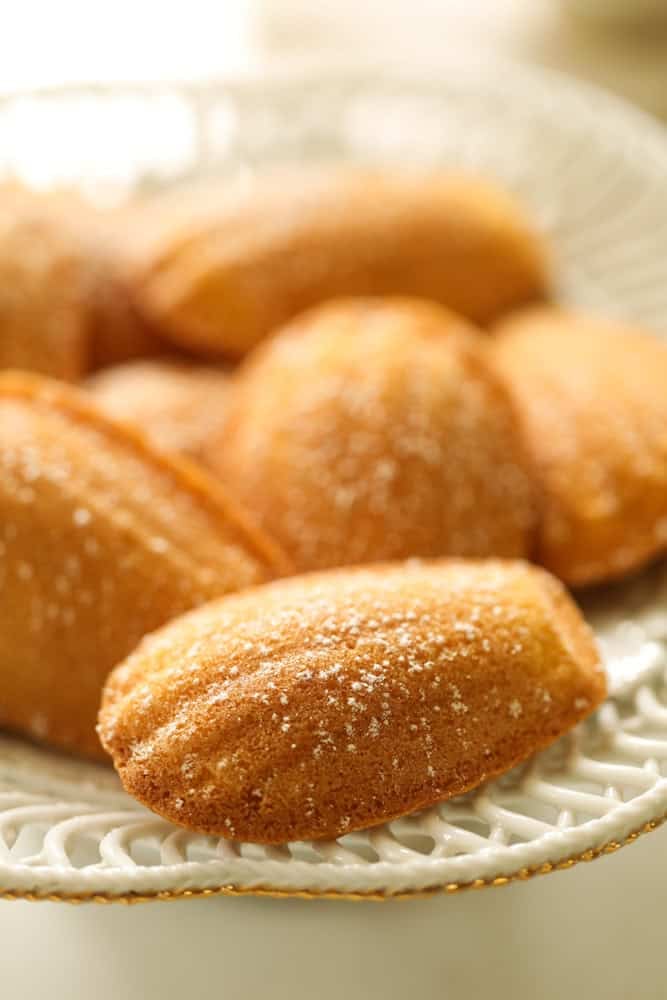 Madeleines dusted with powdered sugar on top