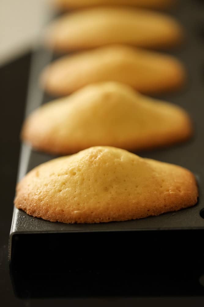 A baking tray of Madeleines showing the Madeleine Hump