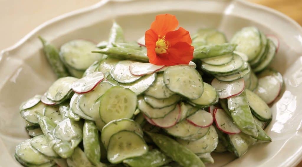 Cucumber Dill Salad Recipe on a plate garnished with a nasturtium