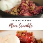 Easy Plum Crumble Collage for Pinteresst