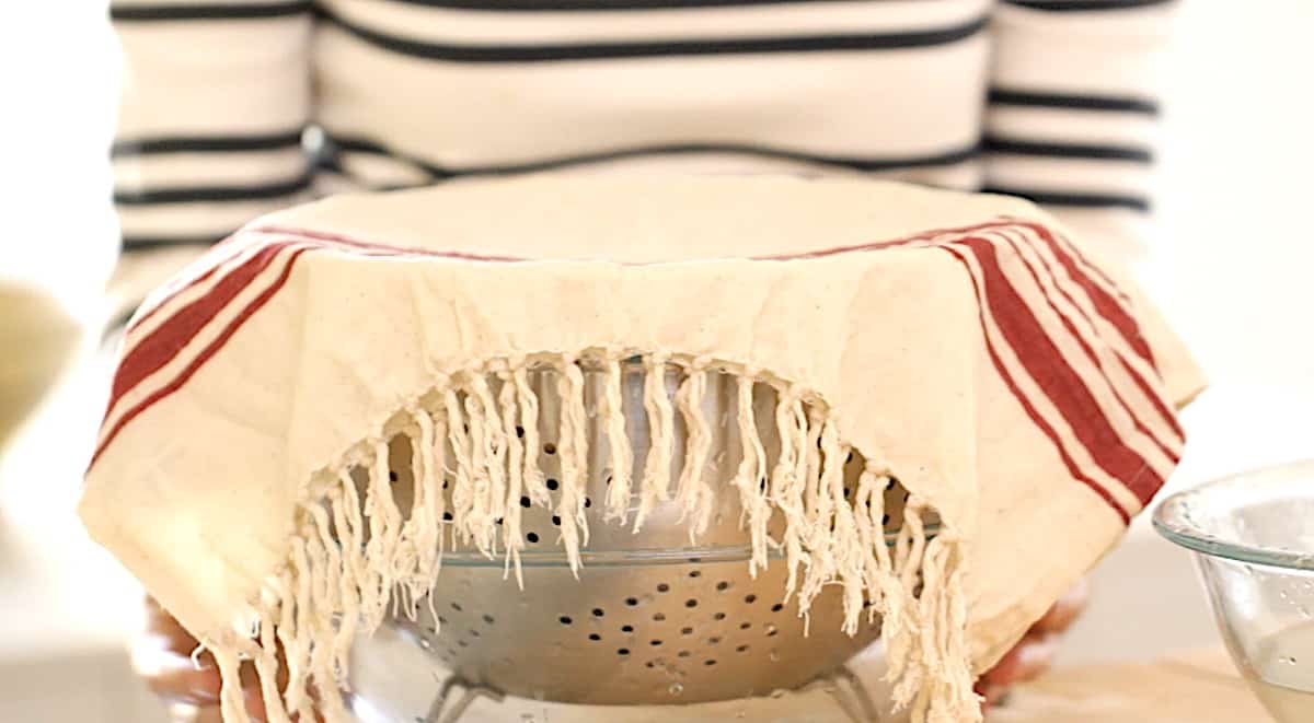 a colander filled with fresh mussels covered with a dish towel 