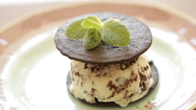 Mint Chocolate Chip Ice Cream Sandwich with dark chocolate wafer cookies