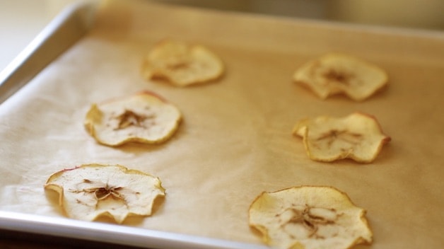Apples dehydrated curled on baking sheet cooling on countertop