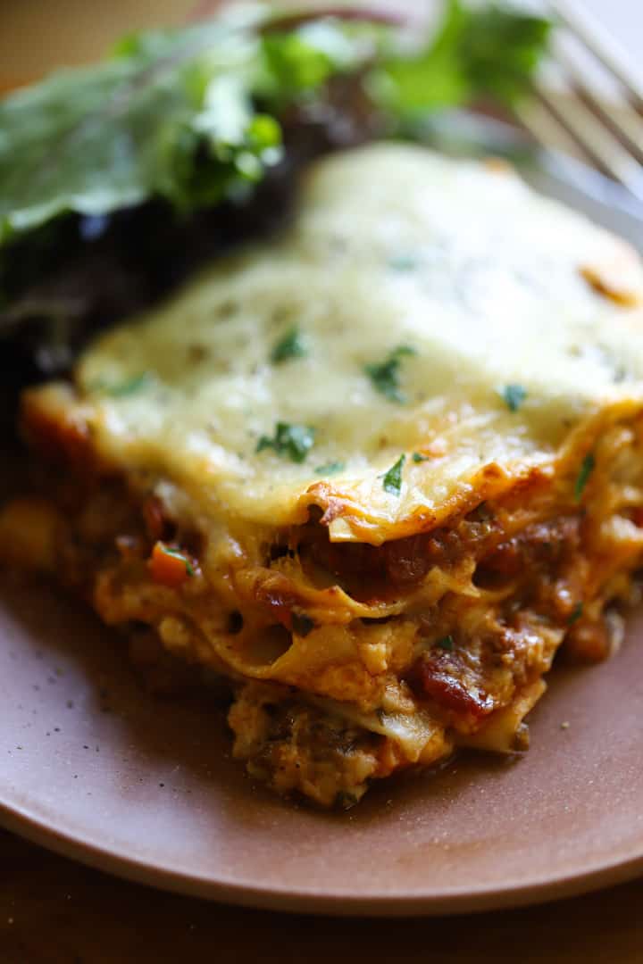 a slice of Lasagna showing the layers without ricotta cheese