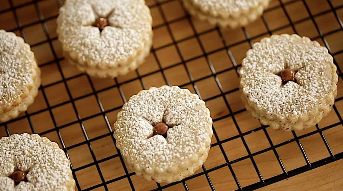 a chocolate hazelnut linzer cookie sandwiched together