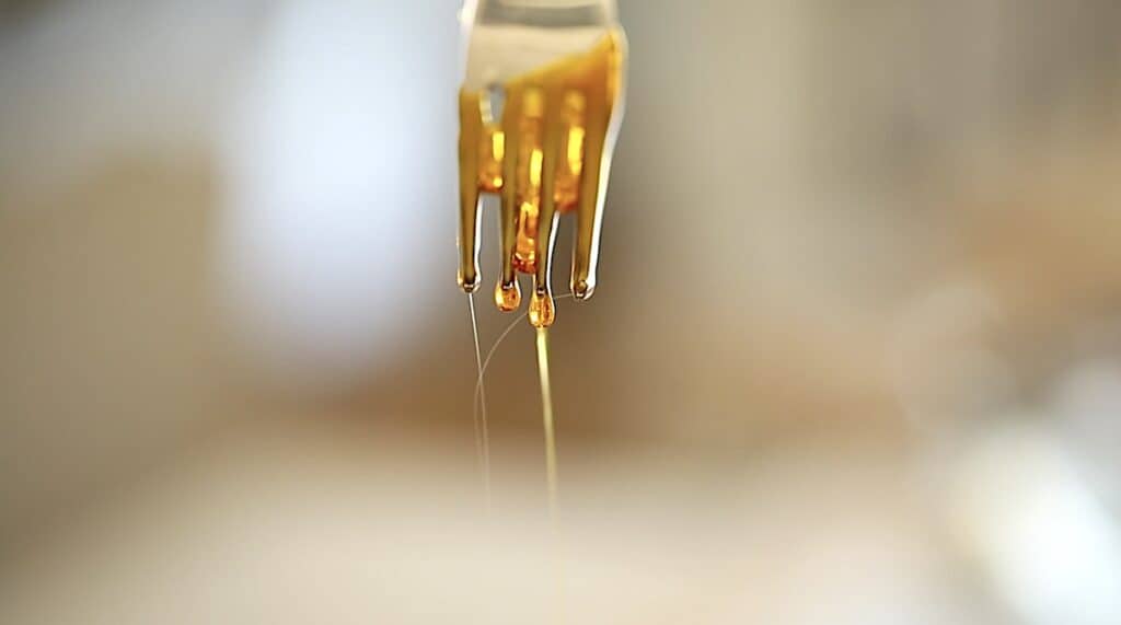a close up of hot caramel dripping off a fork showing the threads of spun sugar starting to form