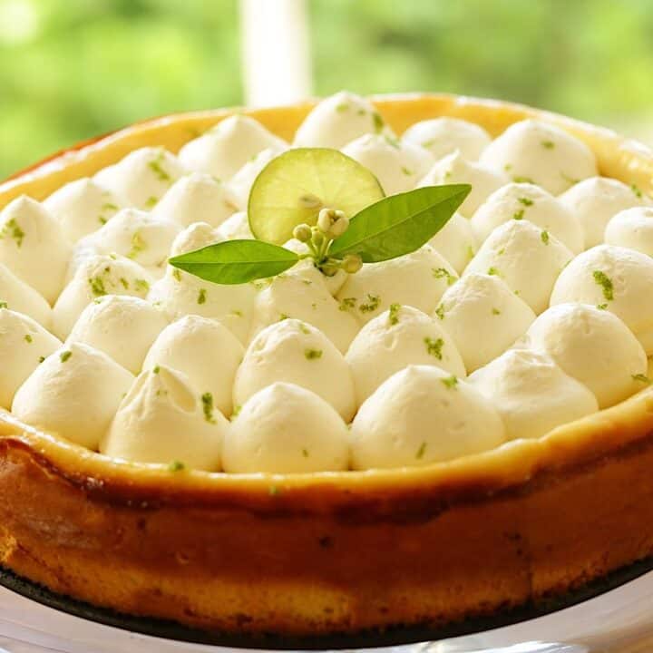 Keylime Cheesecake garnished with citrus blossom