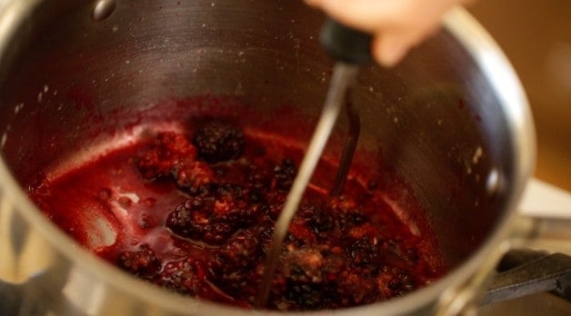 Reduced blackberries in pot