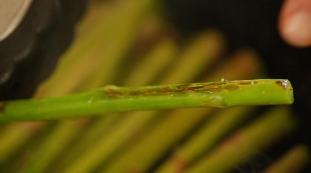 Showing close up detail of Charred Asparagus 