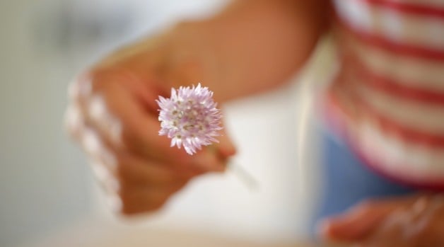 Chive Blossoms for the No-Mayo Potato Salad Recipe