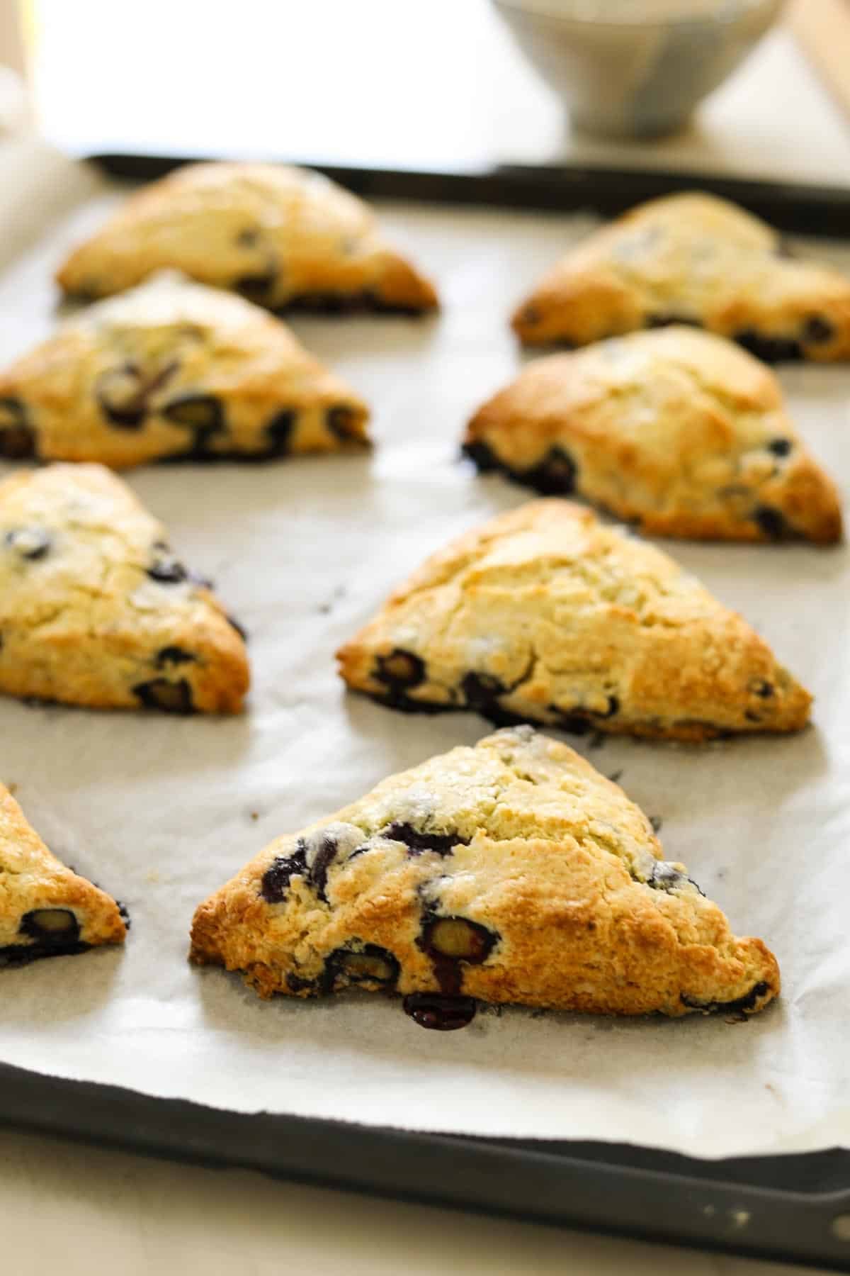 Blueberry Scones on a baking sheet cooling.