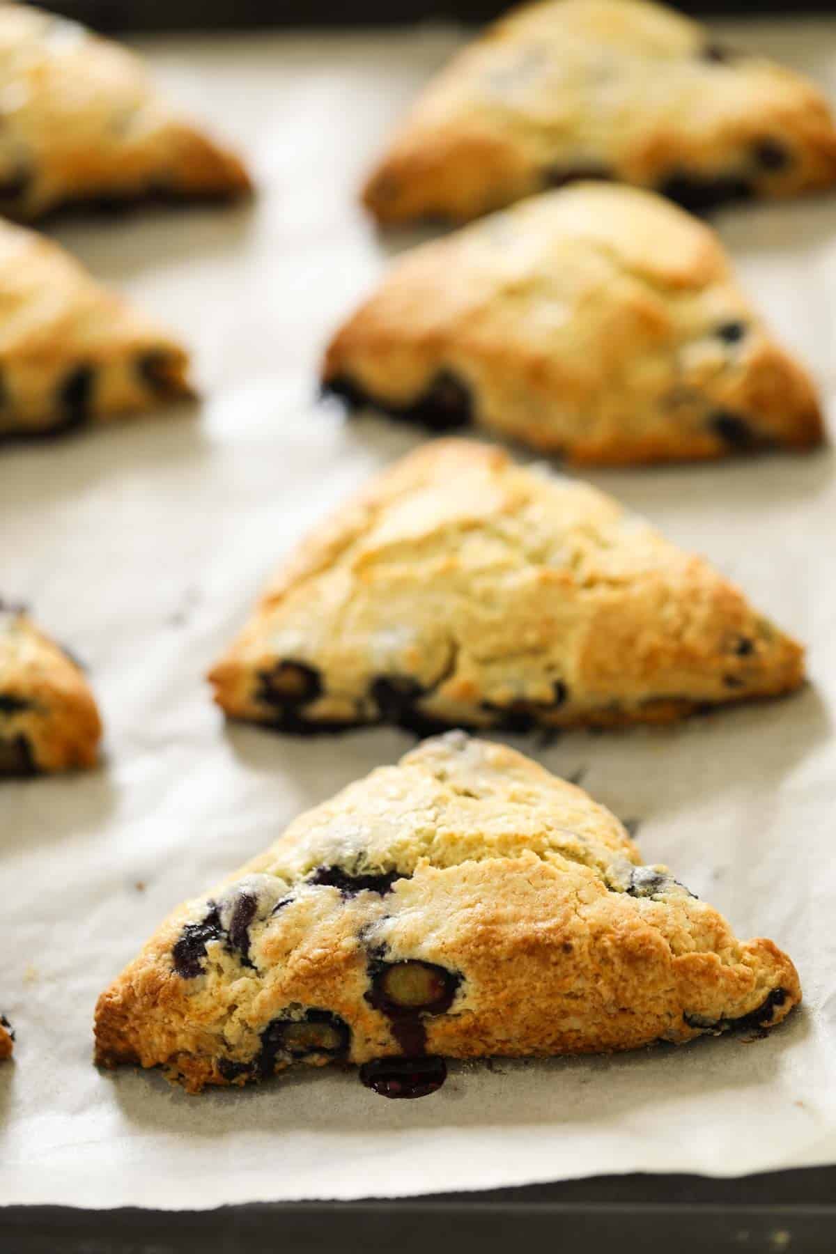 Scones cooling on a baking sheet limed with parchment paper.