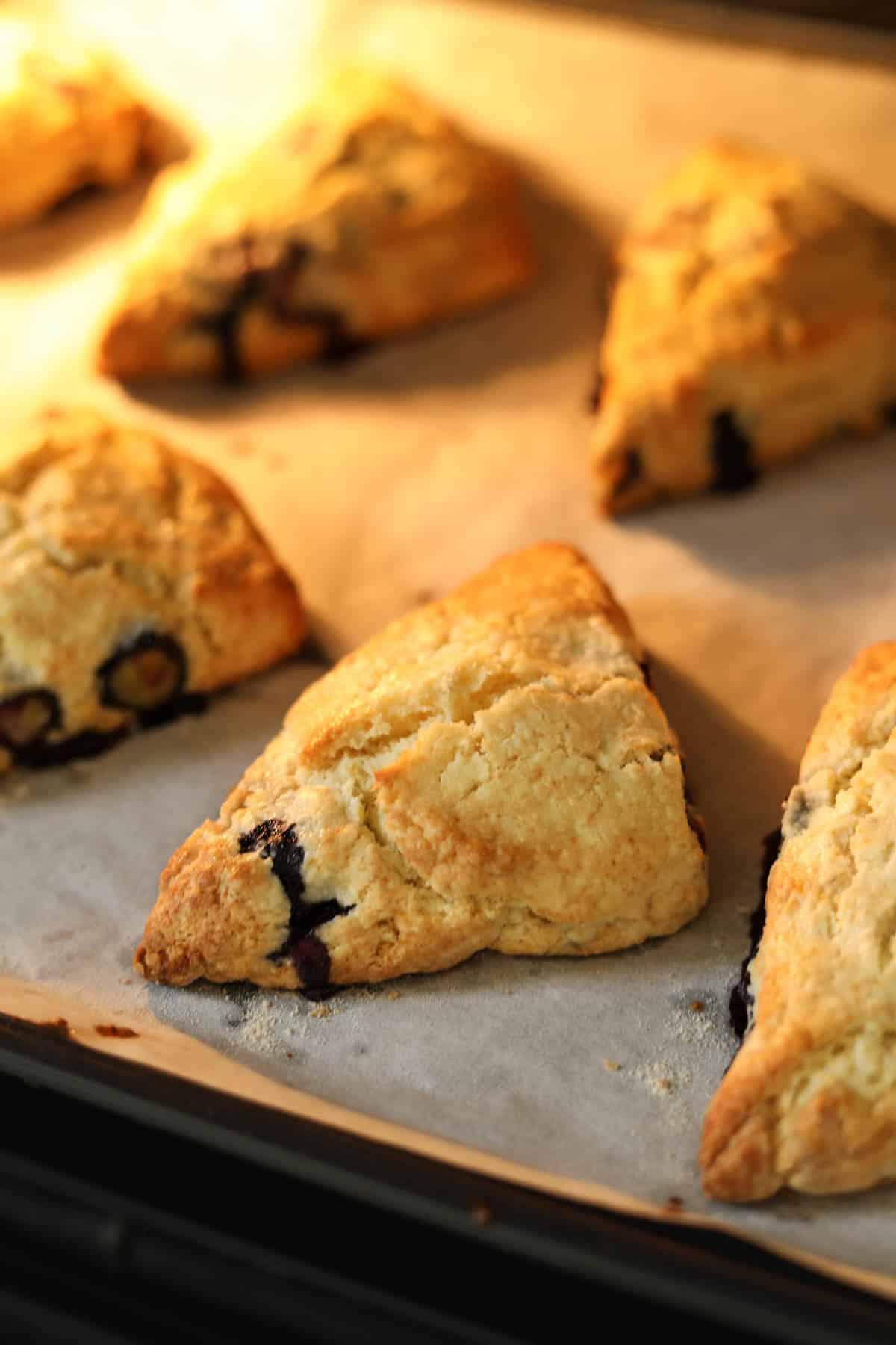 Blueberry scones baking in the oven.