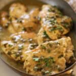 Chicken piccata in a gratin pan covered in capers and fresh parsley garnish.