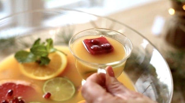 Floating Cranberry Juice Ice Cube in a cup of Christmas Punch