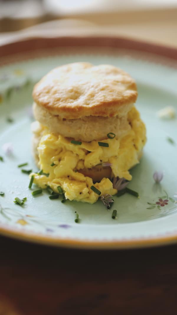 Vertical Image of a Biscuit and Egg Sandwich