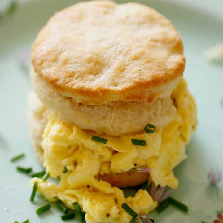 Biscuit Sandwich with soft scrambled eggs