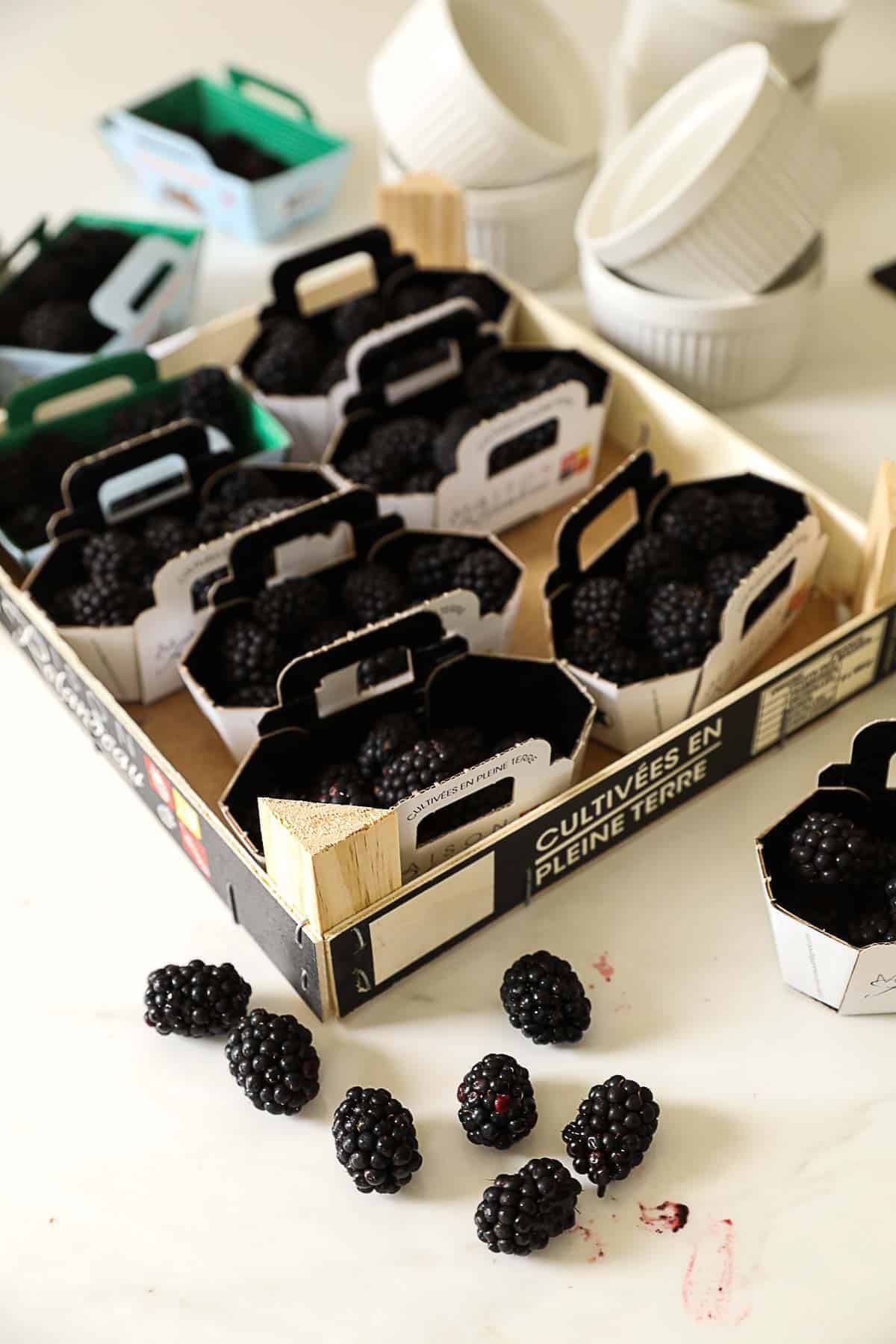 Blackberries in cardboard containers from the market.