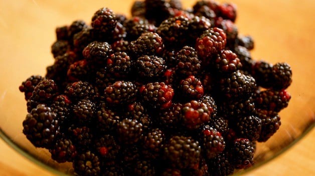 a bowl of blackberries