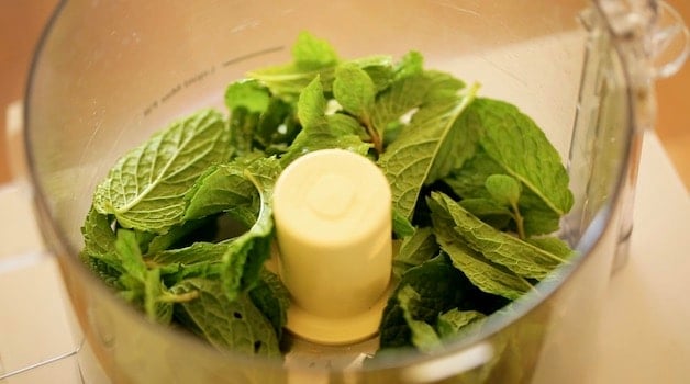 Fresh Mint in a Food Processor