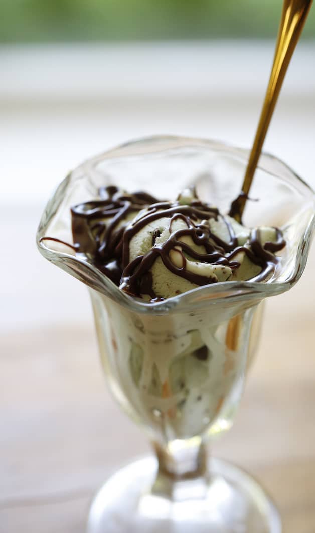 Mint Chocolate Chip Ice Cream with a drizzle of hot fudge