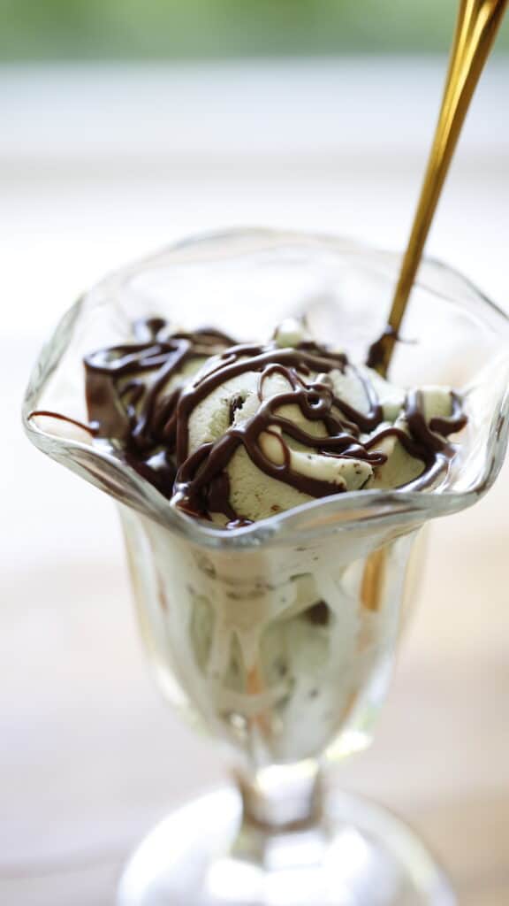 Mint Chip Ice Cream with a Drizzle of hot fudge