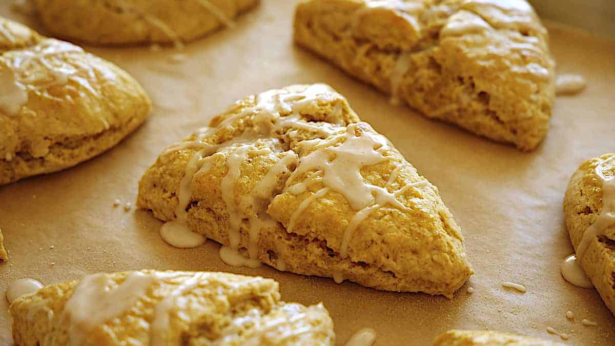 pumpkin scones baked and drizzled with glaze