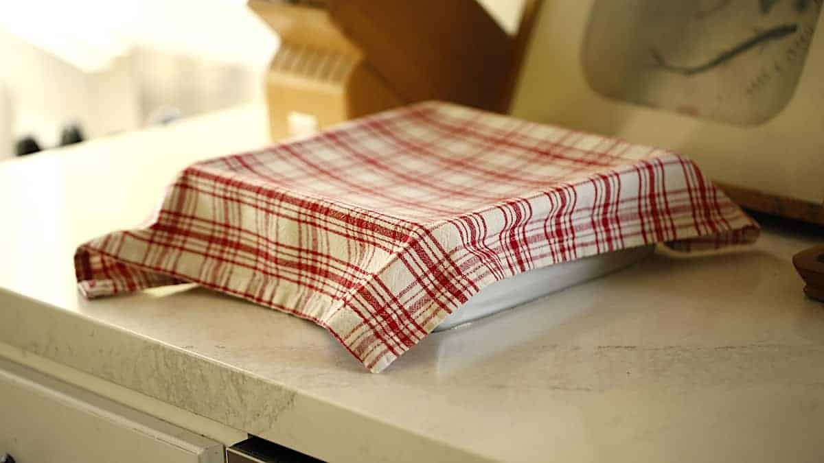 a cheesecake pan on a counter covered with a red and white napkin with dough rising inside