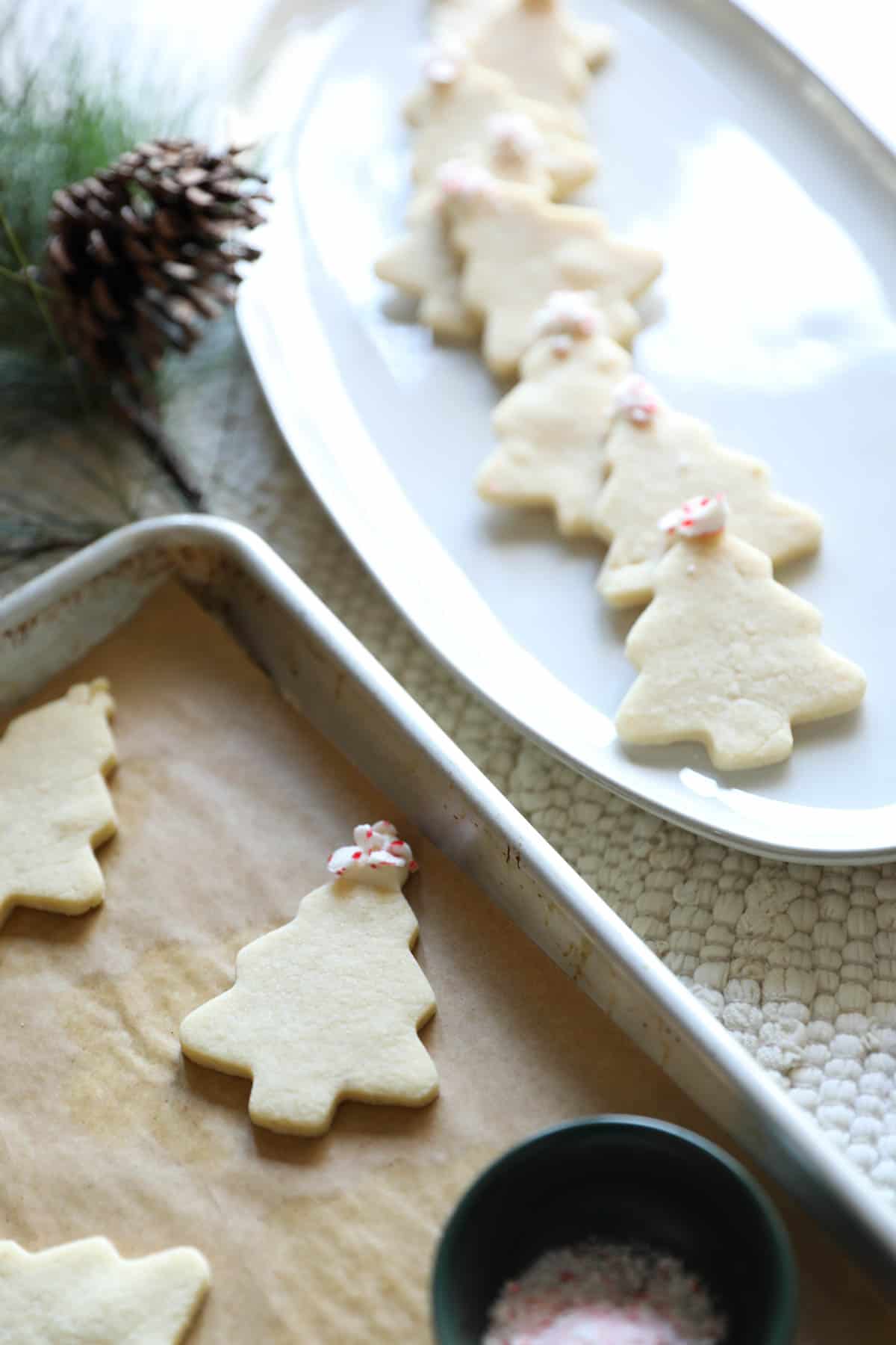 Sugar Cookies cut out into Christmas Trees topped with white chocolate and candy canes